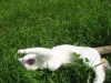 2010-05-28_14-47-42