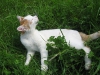 2010-05-28_14-49-04