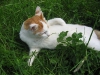 2010-05-28_14-49-12