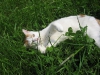 2010-05-28_14-50-15