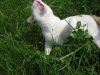 2010-05-28_14-50-18