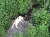 2010-06-20_19-06-28