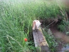 2010-06-20_19-09-33
