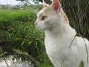 2010-06-20_19-14-58