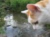 2010-06-20_19-18-01