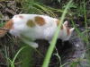 2010-06-20_19-21-57