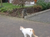 Timmy Abenteuer1.tn.jpg