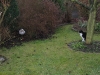 01-Timmy und Pinky1.tn.jpg