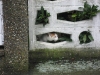 03-Suchbild mit Katze1.tn.jpg