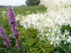 2010-09-03_07-46-58