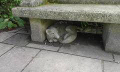 England_201225