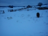 2010-12-17_14-52-03 (2)