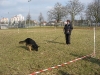 01-Suchen in der Flaeche1.tn.jpg