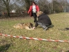 02-Anzeigen in der Flaeche1.tn.jpg